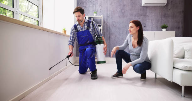 Best Emergency Pest Control  in Lochsloy, WA